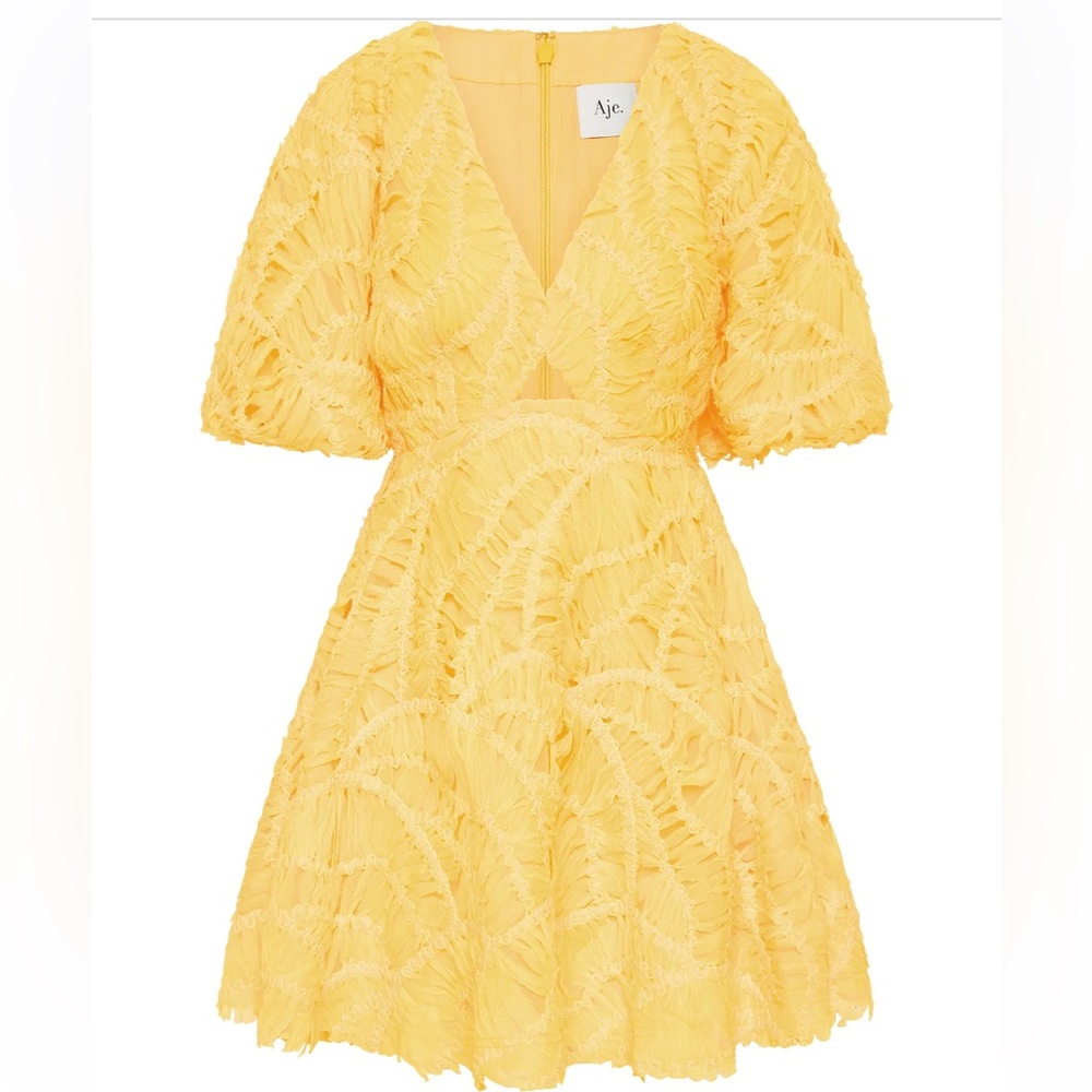 🖤NWT🔺 Aje. Brand FLORENTIAL Mini Swing Dress - Picture 6 of 17